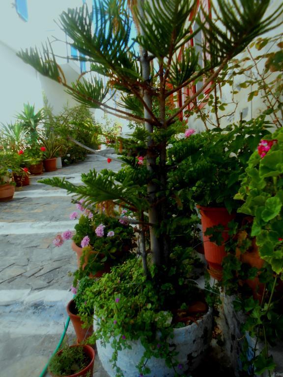 Angeliki Pension Katapola Exterior foto