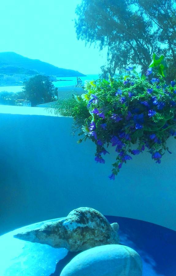 Angeliki Pension Katapola Exterior foto